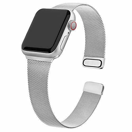 Wanme Correa Compatible con Apple Watch Correa 38mm 40mm 42mm 44mm, Pulsera de Repuesto de Metal de Acero Inoxidable para iWatch Series SE 6 5 4 3 2 1 (38mm/40mm Plata)