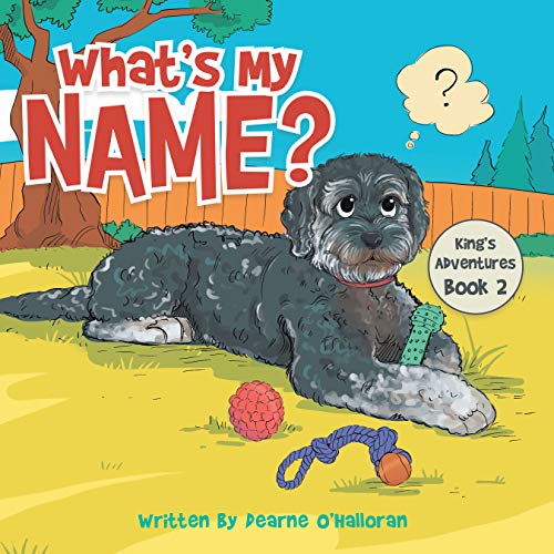 What’s My Name?: King’s Adventures Book 2 (Kings Adventures) (English Edition)