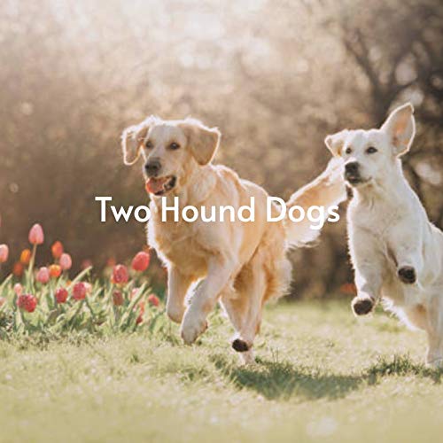 What's She Really Like