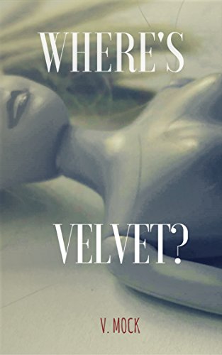 WHERE'S VELVET?: A breathtaking thriller which switches between two completely different worlds (English Edition)