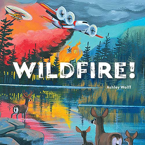 Wildfire! (English Edition)