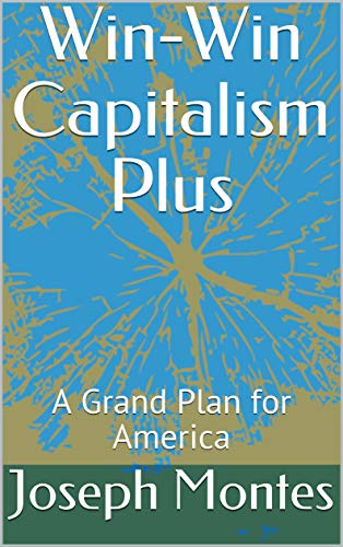 Win-Win Capitalism Plus: A Grand Plan for America (English Edition)