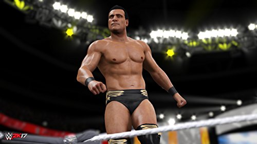 WWE 2K17 [Importación Alemana]
