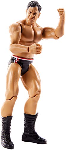 WWE Figura de Acción Luchador Drew Gulak 15 cm, Juguetes Niños 8 Años (Mattel GCB38)