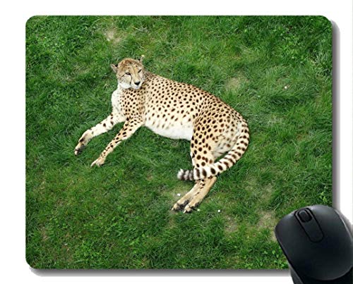 Yanteng Anti Slip Mouse Mat para computadoras de Escritorio, Big Cat Predator Wildcat Meadow, Alfombrilla de ratón Personalizada