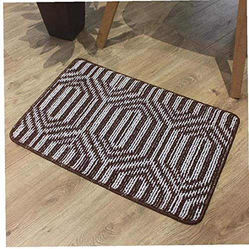 ZIYUMI 2 Pcs Heavy-Duty Non-Slip Rubber Backing Door Mat Entrance Low-Key Carpet Trap Dirt Outdoor Indoor