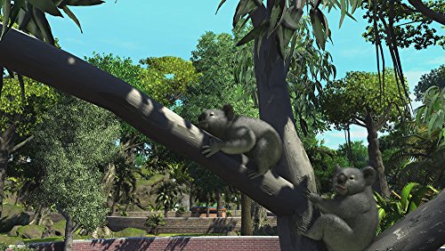 Zoo Tycoon: アルティメット アニマル コレクション - XboxOne