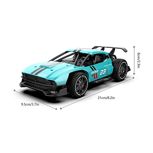 1/24 Scale Flat Running Rally Remote Control Car 2.4G Electric Racing RC Racing Vehicle High-Speed Drift RC Car Alloy RC Car Model Gifts for Boys and Girls (Green)