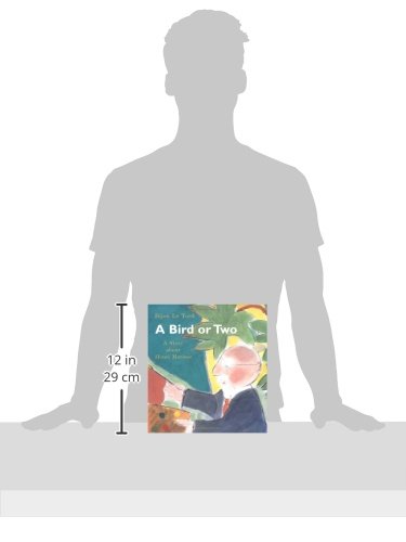 A Bird or 2: A Story About Henri Matisse (Incredible Lives for Young Readers)