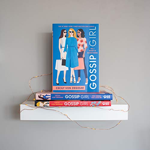 All I Want Is Everything: A Gossip Girl Novel: 3