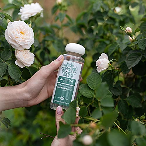 Alteya Organic agua floral rosa blanca 250 ml - USDA producto certificado puro y autentico, destilado al vapor de flor de rosa Alba recién cosechada y vendida directamente por el productor propio Alteya Organics, basado en el valle de las rosas en Bulgari