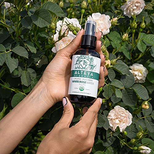 Alteya orgánica Botella de vidrio 120 ml agua de rosas blancas, 100% certificado por USDA, orgánic, flor de Alba destilada al vapor y vendida directamente por el cultivador de rosas Alteya Organics