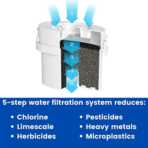 Aqua Optima EVS602 Evolve - Pack de 6 meses , filtros de agua 6 x 30 días, Fit BRITA Maxtra (no * Maxtra +)