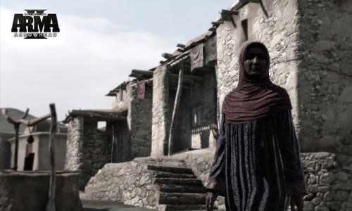 ARMA 2: Combined Operations - Gold Edition [Importación alemana]