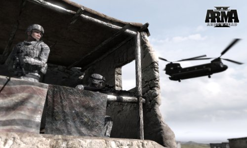 ARMA 2: Combined Operations - Gold Edition [Importación alemana]