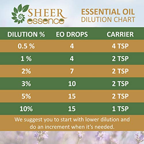 Armoise Oil -Steam Distillation 100% Pure Natural And Therapeutic Grade Essential Oil (Mugwort | Artemisia Alba) 33.81 Fl.Oz.