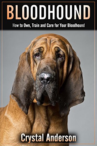 Bloodhound: How to Own, Train and Care for Your Bloodhound (English Edition)