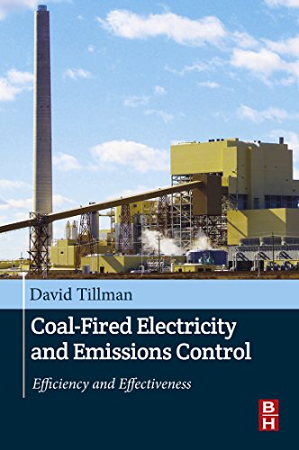 Coal-Fired Electricity and Emissions Control: Efficiency and Effectiveness (English Edition)