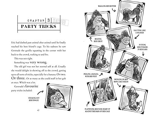 Code Name Bananas: The hilarious and epic children’s book from multi-million bestselling author David Walliams