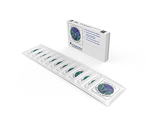 Cultivos de kéfir – Paquete de 12 bolsitas de cultivo liofilizado para preparar kéfir lácteo suave