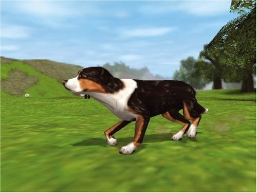 Dog's life: une vie de chien [PlayStation2] [Importado de Francia]