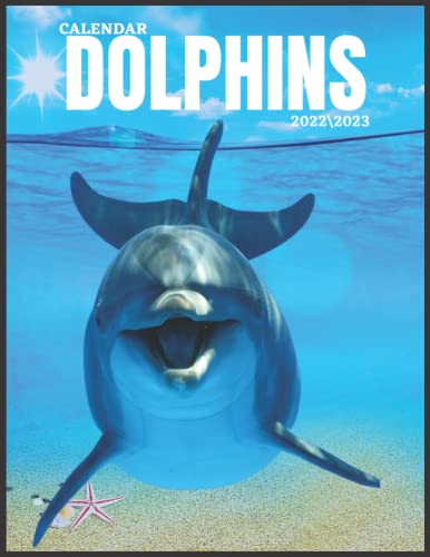 DOLPHINS calendar 20223: SEA monthly calendar 2022 18 months size 8.5x11 inch with high quality images glossy gift for everyone .