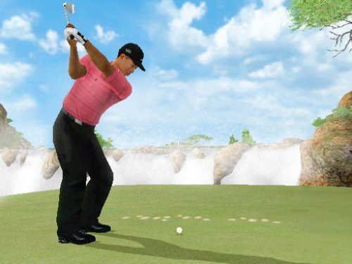 Electronic Arts Tiger Woods PGA Tour 07 Wii™ - Juego (Nintendo Wii, DEU)