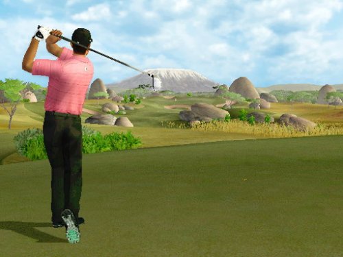 Electronic Arts Tiger Woods PGA Tour 07 Wii™ - Juego (Nintendo Wii, DEU)