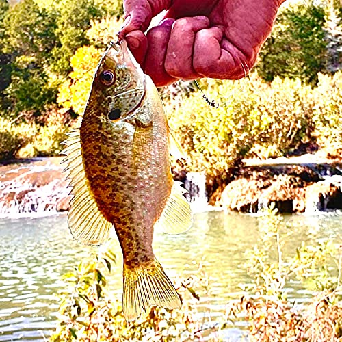 Fisherman's Tale [Explicit]