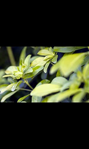 FullHD Wallpaper Pack