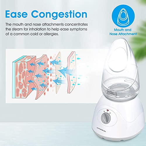 Hangsun Vapor facial