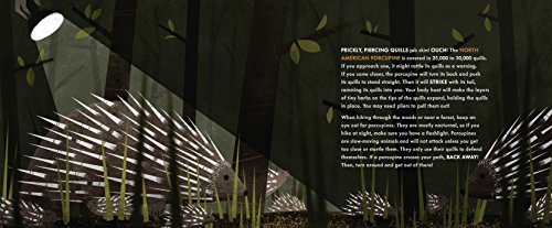 Hidden Dangers: Seek and Find 13 of the World's Deadliest Animals