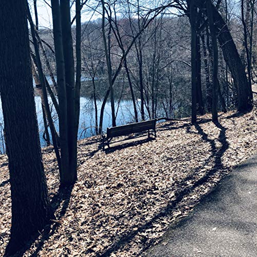 House of Cards (Live)