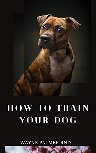 HOW TO TRAIN YOUR DOG: The Excellent Guide On How To Train Your Dog To Be Obedient And Well Behaved (English Edition)