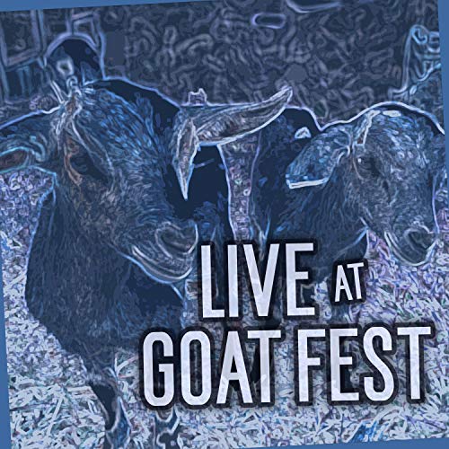 I Wear a Suit of Cards (Live)