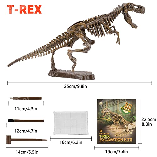 JamBer Tyrannosaurus Rex Juego de Dinosaurios Juguetes Fósiles de Excavación Modelo de Dinosaurio para Niños Niñas