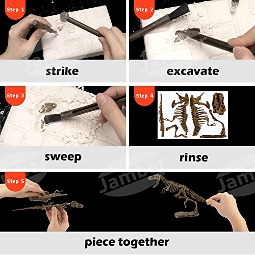 JamBer Tyrannosaurus Rex Juego de Dinosaurios Juguetes Fósiles de Excavación Modelo de Dinosaurio para Niños Niñas