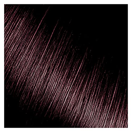 Kiss Express Color Semi- Permanent Darkest Brown 3.5oz by Kiss Express
