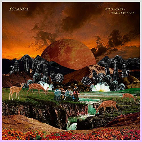 Letters to Steam Park