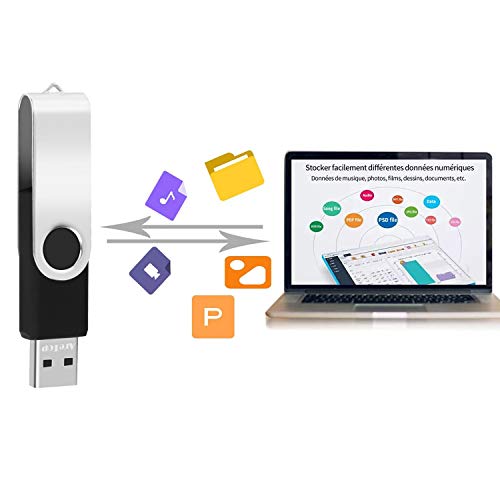 Memoria USB de 1 GB – Lote de 10 unidades de memoria USB 2.0 de memoria Stick, lector USB Flash Drive Almacenamiento Rotación Disco Penrive para ordenador portátil / PC / coche (negro)