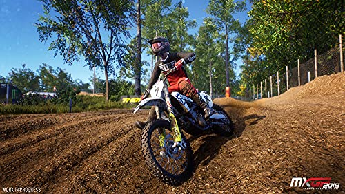 MXGP 2019 [Importación francesa]