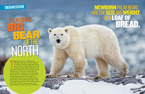 National Geographic Kids Extreme Records (Fun Facts)