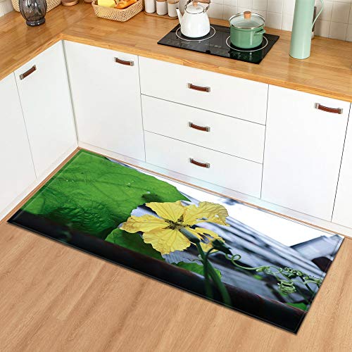 OPLJ Alfombra en el cuarto de baño para el hogar, sala de estar, cocina, plantas, flores, entrada, dormitorio, decoración de piso, alfombra A16, 60 x 180 cm