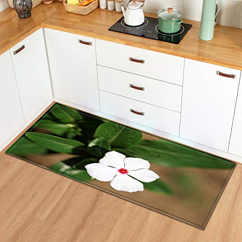 OPLJ Alfombra en el cuarto de baño para el hogar, sala de estar, cocina, plantas, flores, entrada, dormitorio, decoración de piso, alfombra A16, 60 x 180 cm