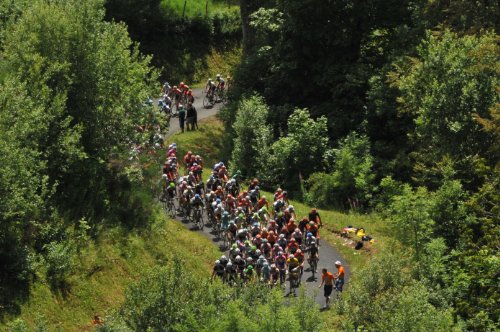 Pro cycling manager - Tour de France 2012 [Importación francesa]
