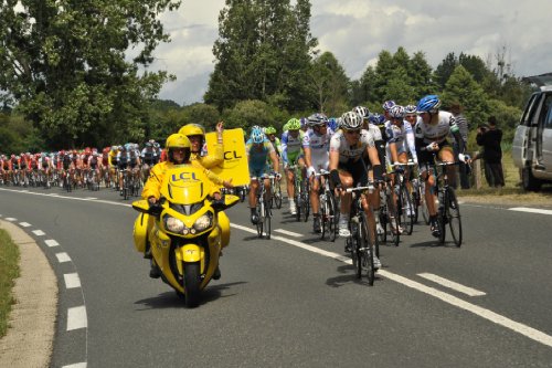 Pro Cycling Manager - Tour De France 2012 - Silver [Importación Francesa]