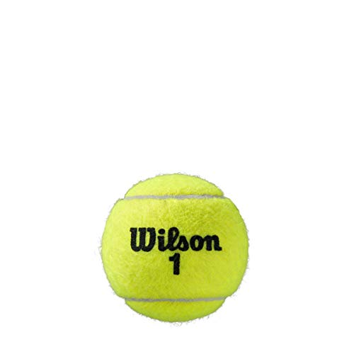 ROLAND GARROS ALL CT 4 BALL