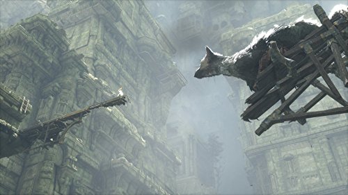 Sony The Last Guardian, PS4 Básico PlayStation 4 vídeo - Juego (PS4, PlayStation 4, Acción / Aventura, T (Teen))