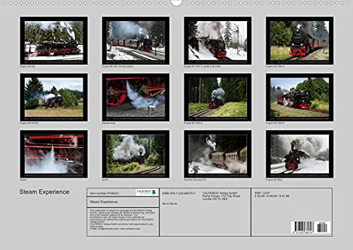 Steam Experience (Premium, hochwertiger DIN A2 Wandkalender 2022, Kunstdruck in Hochglanz): Steam locomotives in the heart of Germany (Monthly calendar, 14 pages )