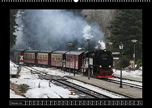 Steam Experience (Premium, hochwertiger DIN A2 Wandkalender 2022, Kunstdruck in Hochglanz): Steam locomotives in the heart of Germany (Monthly calendar, 14 pages )